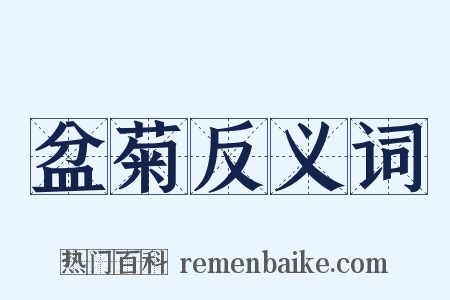 盆菊反义词是什么意思的图片